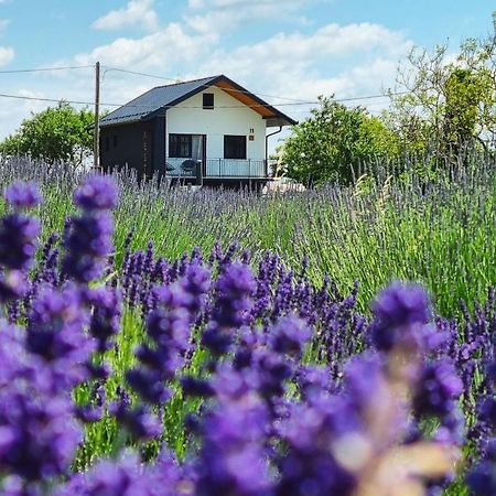 Vacation Home - Nest Kalnik Eksteriør billede